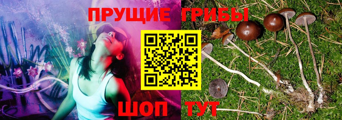 Нарьян-Мар  Галлюциногенные грибы GOLDEN TEACHER  Вход с VPN 